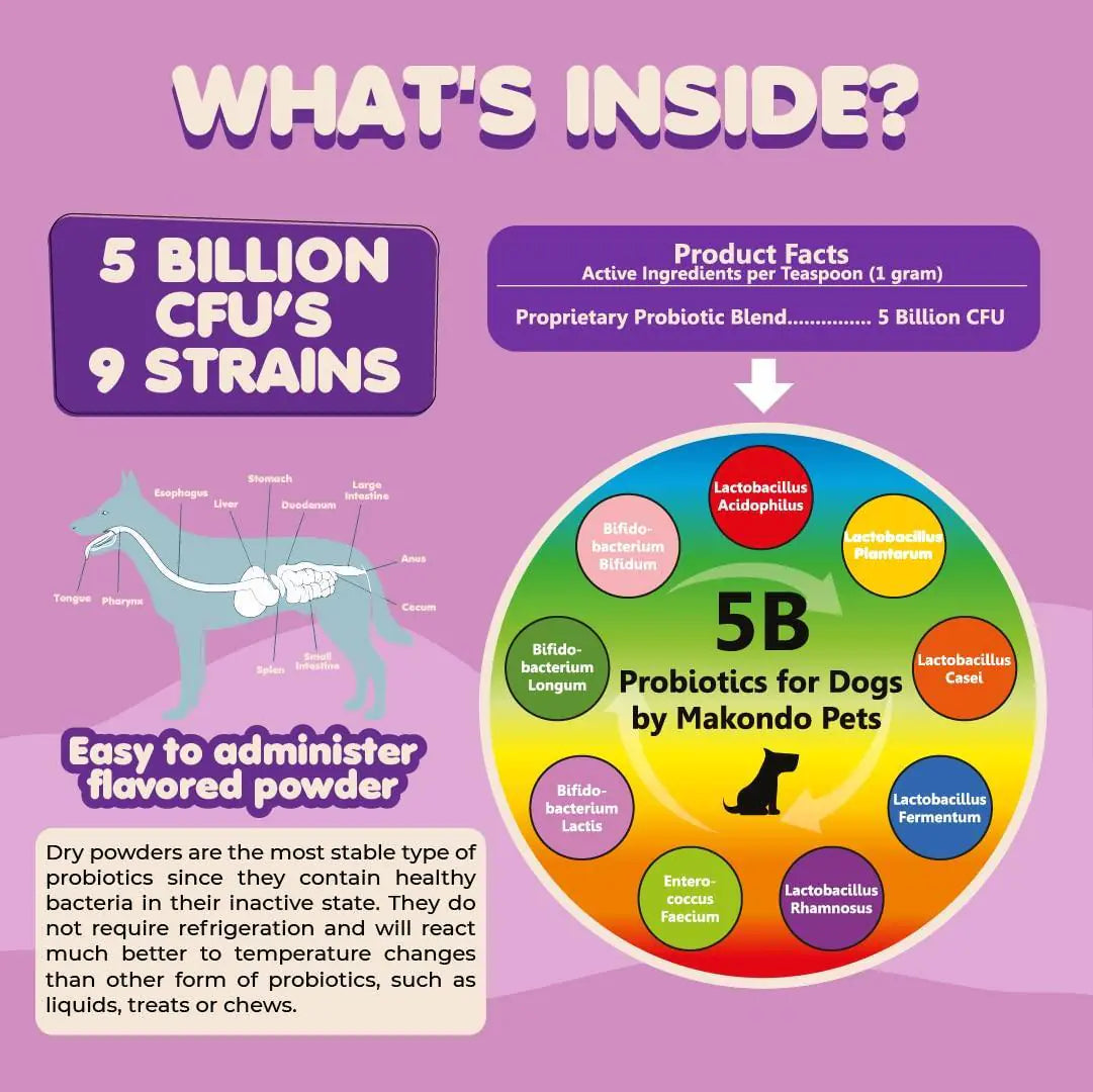 🦠: Dog Probiotics Extra Strength - 9 Species 5 Billion CFU Pet Supplement
