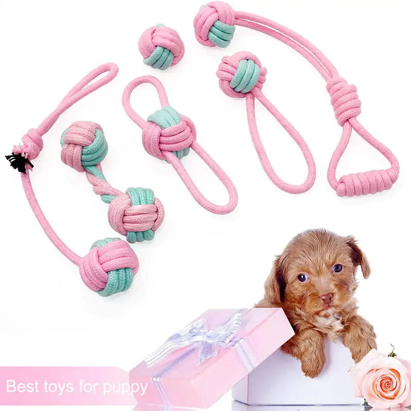 🦴: Pet Dog Chew Toys - Durable Interactive Play Collection