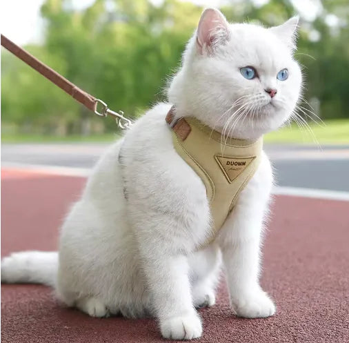 🦮: Small Dog Anti-Breaking Harness & Leash - Secure Safety Set