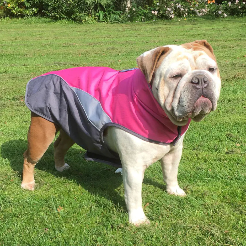 🧥: Waterproof Outdoor Pet Raincoat and Insulated Jacket