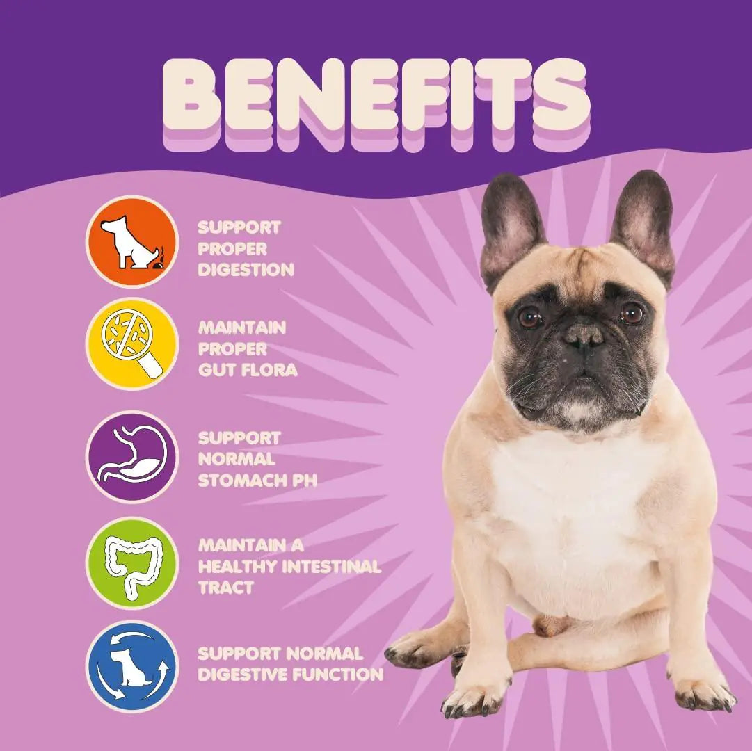 🦠: Dog Probiotics Extra Strength - 9 Species 5 Billion CFU Pet Supplement