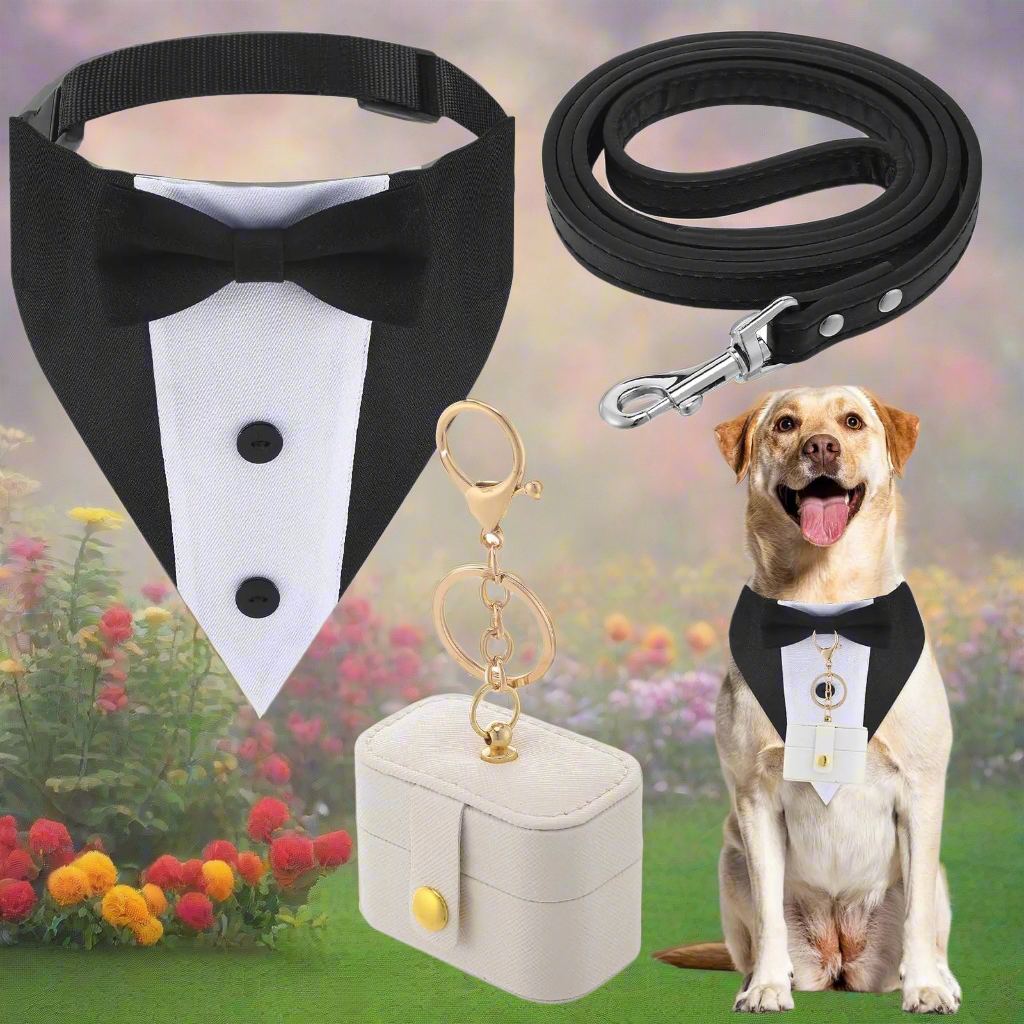 🤵: Locmeo 3-Piece Dog Wedding Collar Outfit - Tuxedo Ring Bearer Set with Leash