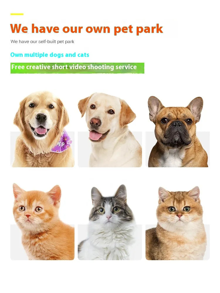 🦴: Molar Teeth Cleaning Dog Rope Bite Ball - Interactive Dental Care Toy