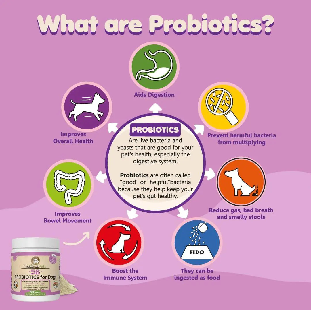 🦠: Dog Probiotics Extra Strength - 9 Species 5 Billion CFU Pet Supplement
