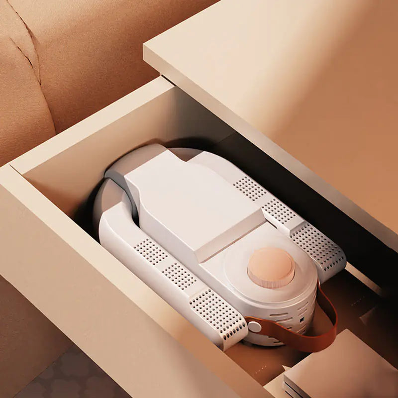 👟: Electric Shoe Dryer with Timer Control