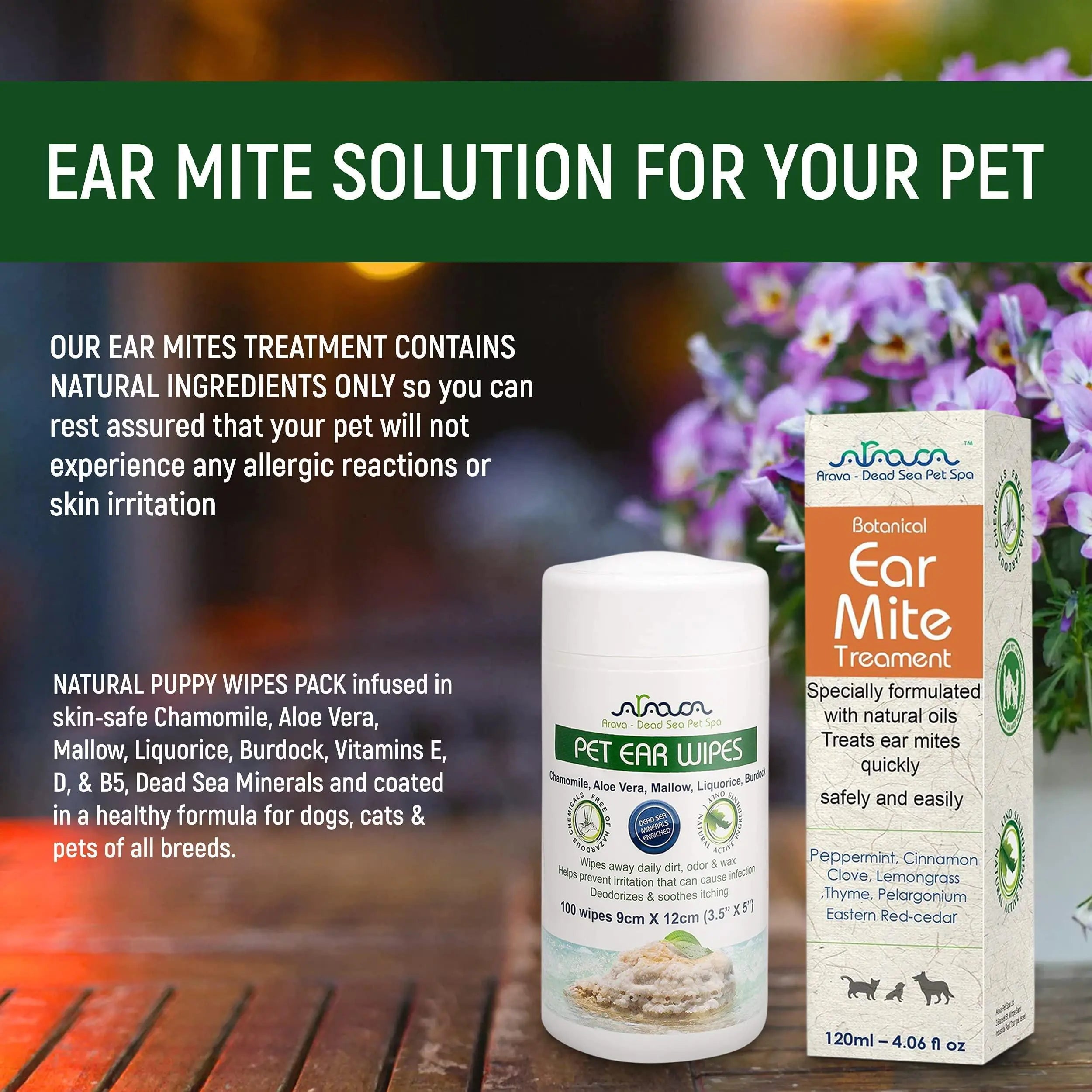 🦻: Natural Ear Mite Treatment - Dogs & Cats Ear Infection Cleaner